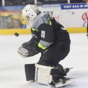 Image post by @usphlhockey on Instagram