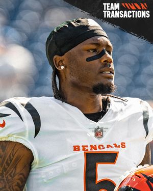 Image post by @bengals on Instagram