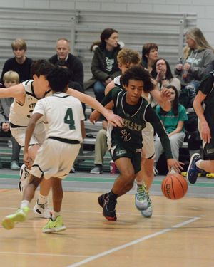 Image post by @laubhan.visuals on Instagram