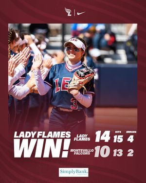 Image post by @leeusoftball on Instagram