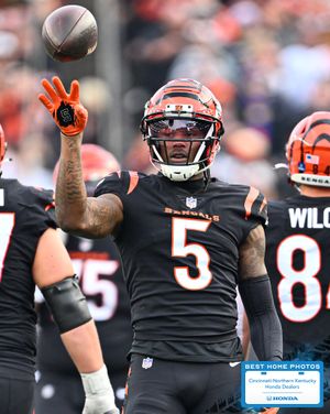 Image post by @bengals on Instagram