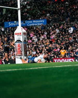 Image post by @theparraeels on Instagram