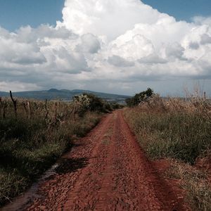 Image post by @roccostacos on Instagram