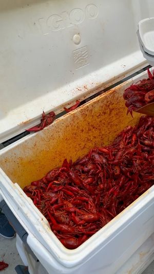 Video post by @mcneesefootball on Instagram