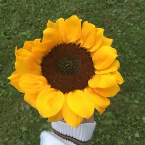 Image post by @scleggphotography on Instagram