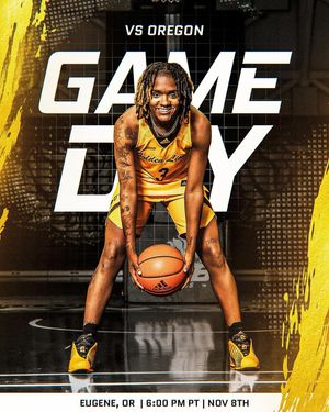 Image post by @uapblionswbb on Instagram