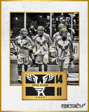 Image post by @nllwings on Instagram
