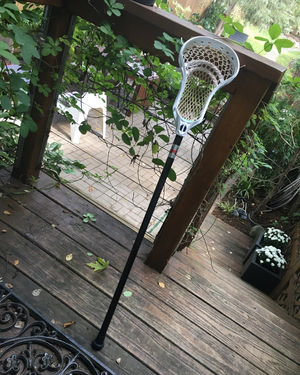 Image post by @washeduplaxbros on Instagram