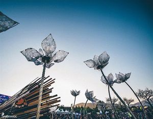 Image post by @nocturnalwland on Instagram