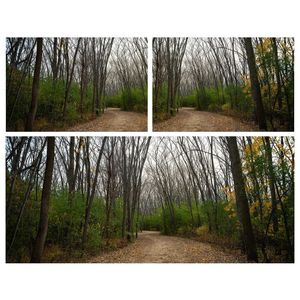 Image post by @fotodioxpro on Instagram