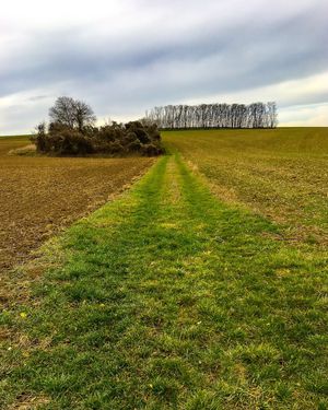 Image post by @cristan.nature.photography on Instagram