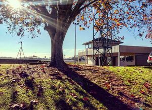 Image post by @australianturfclub on Instagram