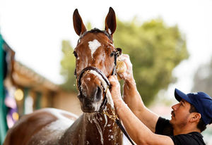 Image post by @breederscup on Instagram