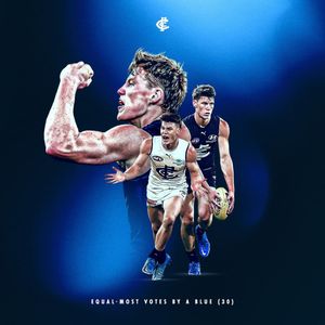 Image post by @carlton_fc on Instagram