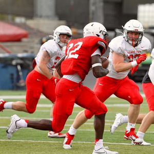 Image post by @isuredbirdfb on Instagram