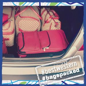 Image post by @bestwestern on Instagram