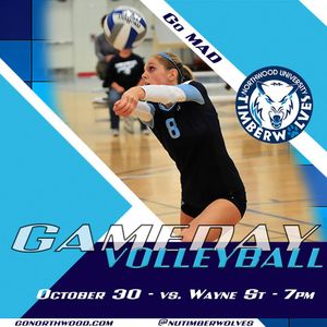 Image post by @nutimberwolves on Instagram