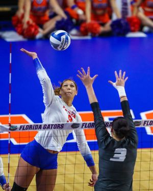 Image post by @GatorsVB on Twitter