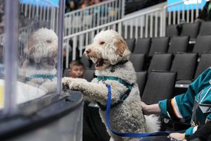 Image post by @sjbarracuda on Instagram