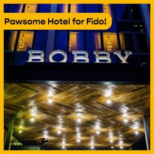 Image post by @jetsetpets on Instagram