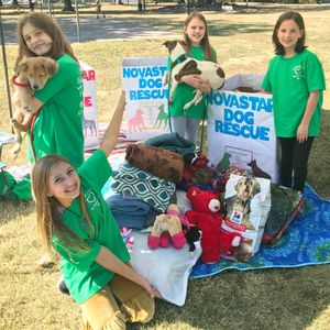Image post by @girlscouts on Instagram