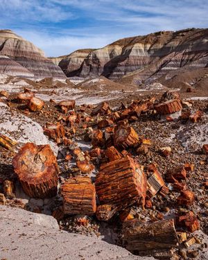 Image post by @nationalparkservice on Instagram