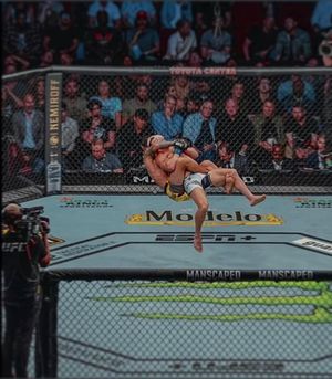 Image post by @mikechandlermma on Instagram