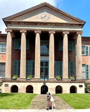 Image post by @collegeofcharleston on Instagram