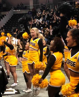 Image post by @nkucheer on Instagram