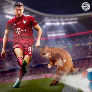 Image post by @fcbayern on Instagram