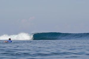 Image post by @wsl.qs on Instagram