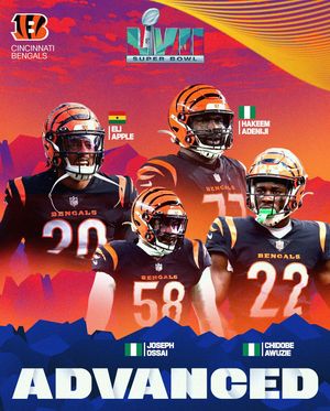 Image post by @nflafrica on Instagram