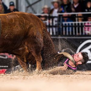 Image post by @bullfightersonly on Instagram
