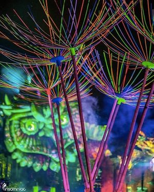 Image post by @edc_orlando on Instagram