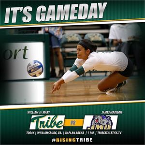 Image post by @tribeathletics on Instagram
