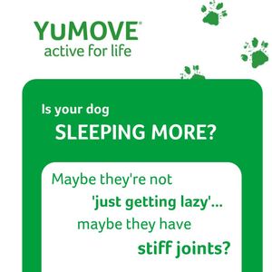 Image post by @yumove_usa on Instagram