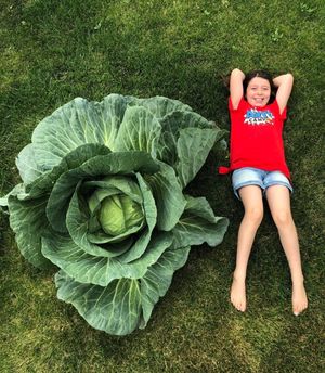 Image post by @bonnieplants on Instagram