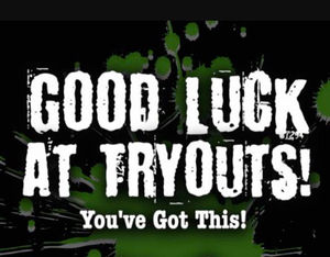 Image post by @bshs_volleyball on Instagram