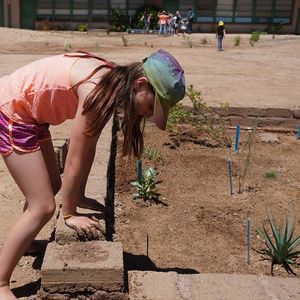 Image post by @kidsgardening on Instagram