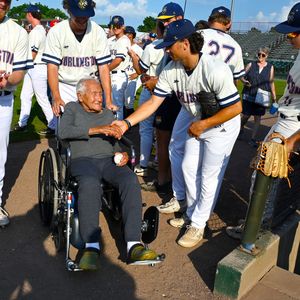 Image post by @burlington_bees on Instagram