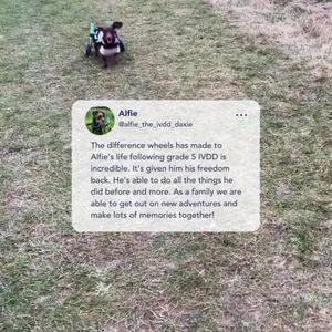 Image post by @walkinpets on Instagram