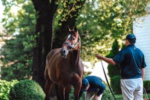 Image post by @spendthriftfarm on Instagram