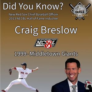 Image post by @newportgulls on Instagram