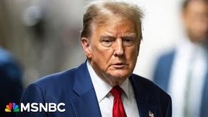 Video post by @msnbc on YouTube