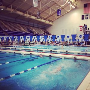 Image post by @nsu_swim on Instagram
