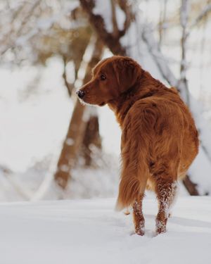 Image post by @katiemoyesphotos on Instagram