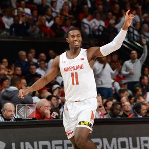 Image post by @terrapinhoops on Instagram