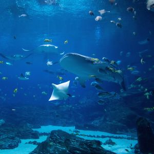 Image post by @discovery on Instagram