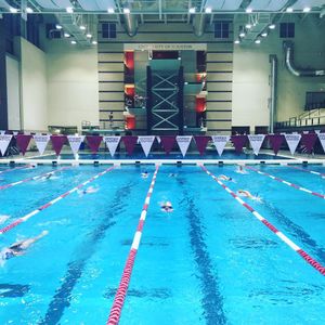Image post by @gcu_swimdive on Instagram