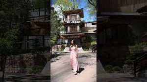 Video post by @gracefkim on YouTube